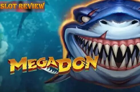 Mega Don Slot Review